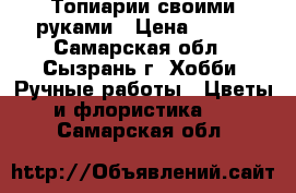 Топиарии своими руками › Цена ­ 450 - Самарская обл., Сызрань г. Хобби. Ручные работы » Цветы и флористика   . Самарская обл.